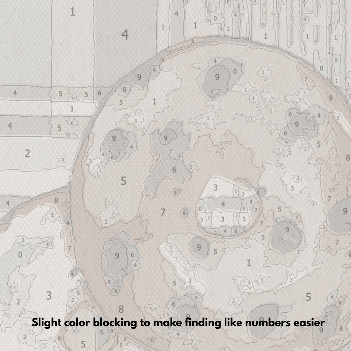 Bagel - Paint by Numbers Kit