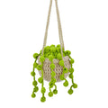 Crochet Hanging Plant Kit Easy DIY Yarn Knitting Tools