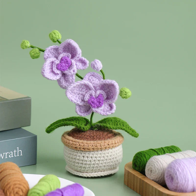 Moth Orchid Crochet Kit Beginner Yarn Hook Needles DIY